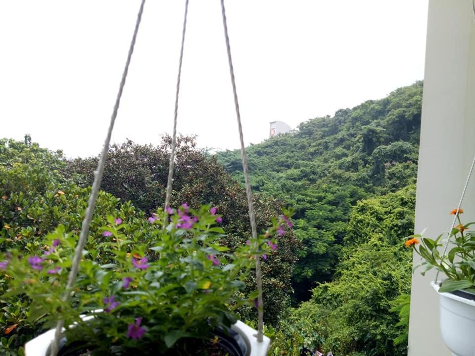 Lam Son Hotel & Apartments Vung Tau Bagian luar foto