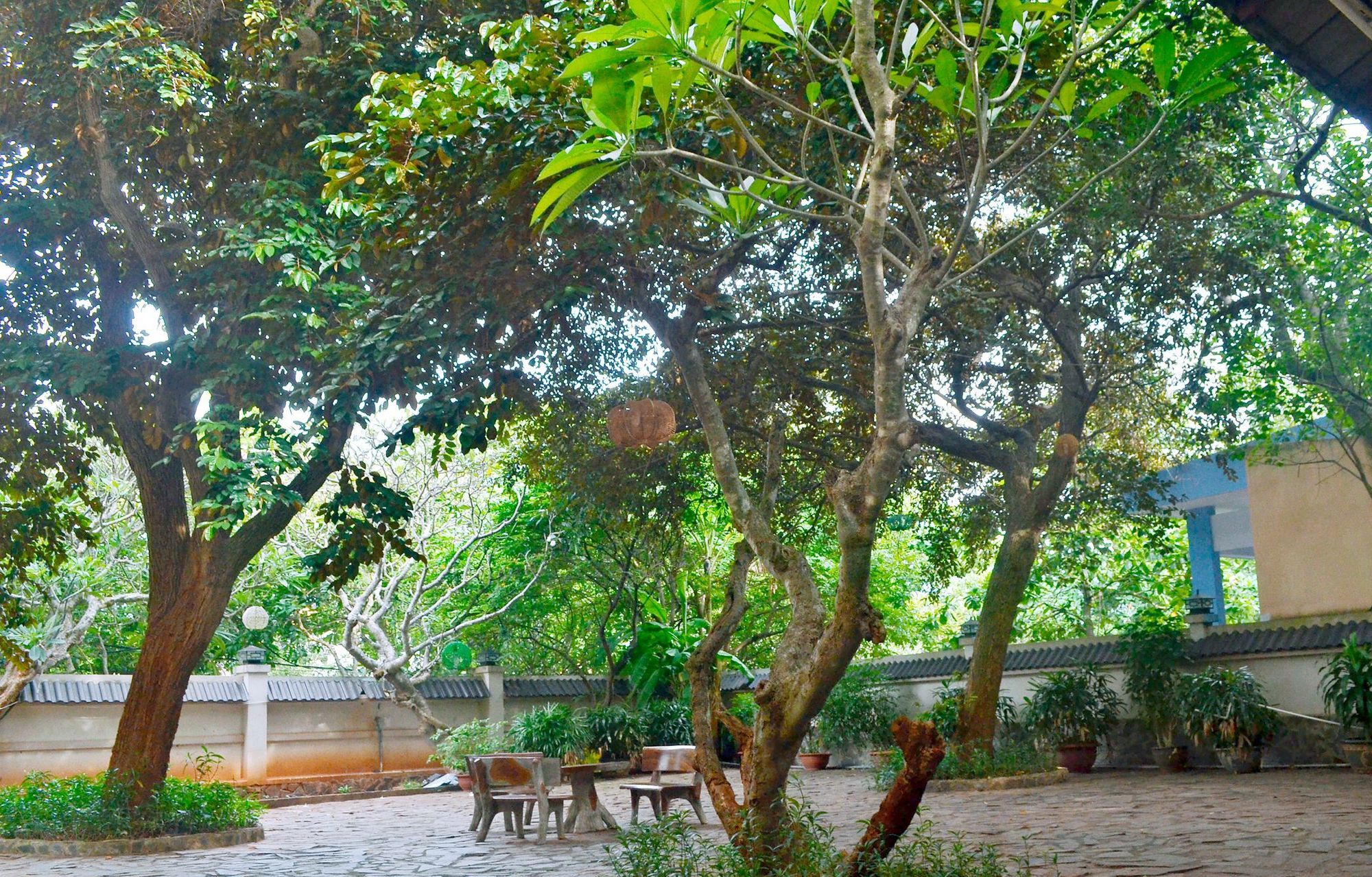 Lam Son Hotel & Apartments Vung Tau Bagian luar foto
